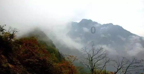少儿图书馆该如何建设？来这场座谈会上找答案
